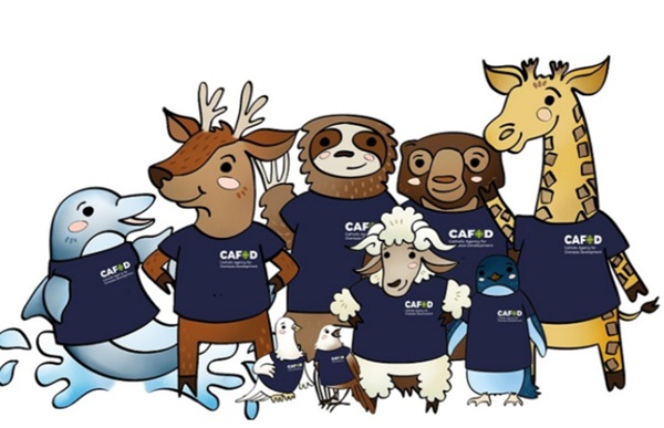 Catholic Social Teaching